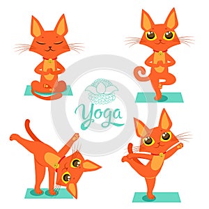 Yoga Cat Pose. Yoga Cat Vector. Yoga Cat Meme. Yoga Cat Images. Yoga Cat Position. Yoga Cat Figurine.