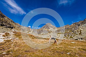 Yoga Chakra-asana in Tatry mountains