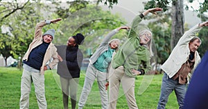 Yoga class, park and elderly group with coach exercise together in nature for health and wellness training. Peace