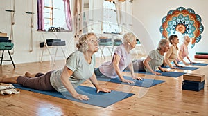 Yoga, exercise and elderly women stretching for balance, peace and wellness in zen studio. Meditation, calm and group of