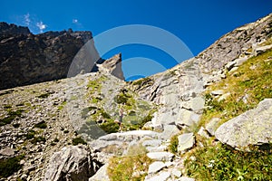 Yoga exercising in Tatry mountains photo