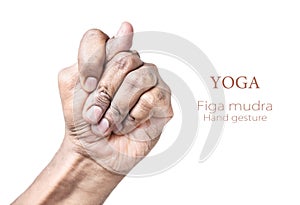 Yoga Figa mudra