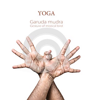 Yoga Garuda mudra photo