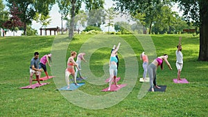 Yoga Group Practicing in Lush Park