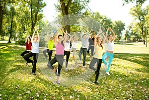 Yoga group, tree position,