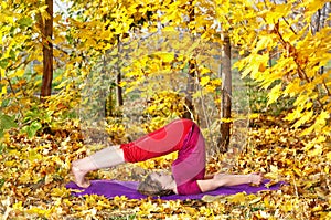 Yoga halasana in autumn photo