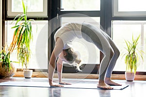 Yoga at home: Bridge Pose photo