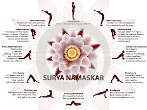 Yoga infographics, Surya Namaskar sequence