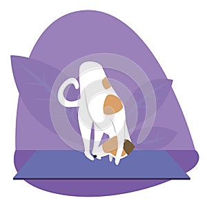 Yoga and jack russell terrier as cartoon character, flat vector stock illustration with dog as concept of yoga pose, asana, health