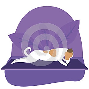 Yoga and jack russell terrier as cartoon character, flat vector stock illustration with dog as yoga pose concept, asana, health