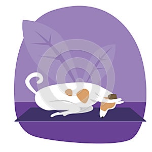 Yoga and jack russell terrier as cartoon character, flat vector stock illustration with dog and asana on leaves background