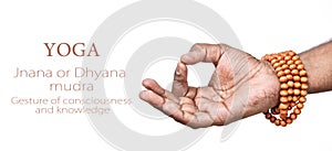 Yoga JNANA mudra photo