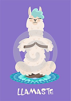 Yoga llama meditates isolated on purple background. Vector illustration.