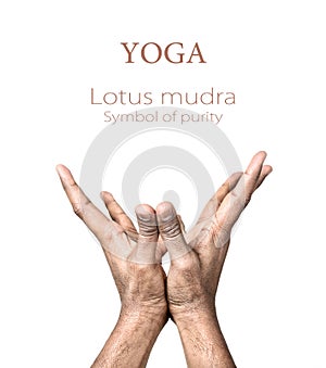 Yoga lotus mudra