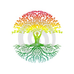 Yoga meditation with tree of life vector illustrations