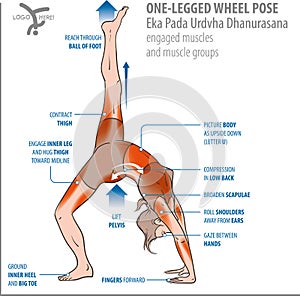 Yoga-one-legged wheel pose