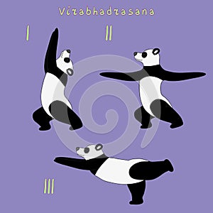 Yoga panda bear virabhadrasana pose