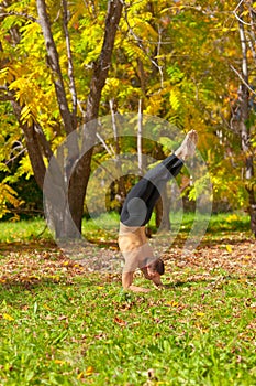 Yoga pinch mayurasana pose