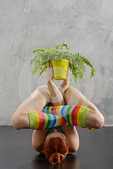 Yoga and plant