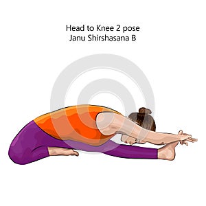 Yoga pose. Janu Shirshasana B.