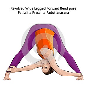 Yoga pose Parivritta Prasarita Padottanasana.