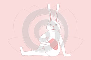 Yoga with Rabbit Ardha Matsyendrasana Half Spinal Twist Pose