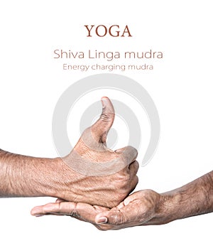 Yoga shiva linga mudra