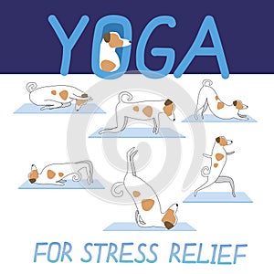 Yoga for stress relief and cute jack russell terrier as character, flat or outline vector stock illustration with dog on a white