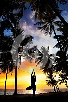 Yoga tree pose around palm trees