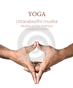 Yoga Uttarabodhi mudra