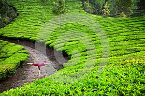 Yoga warrior pose in tea plantations