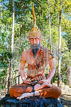 Yoga Yogi meditating with full beard and tiger skin