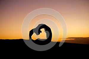 Yogi Master Silhouette on the beach