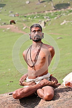 Yogin in the Himalays