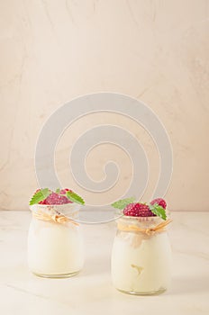 yogurt with berry and mint on the white table /Healthy summer yogurt with berry and mint on the white table, copy space