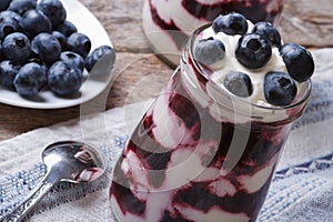 Yogurt with blueberries in a glass closeup horizontal