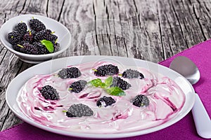 Yogurt with colored stains and mulberry on plate