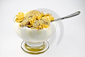 Yogurt with corn flakes