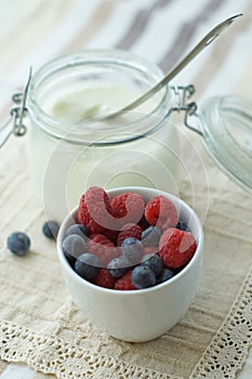 Yogurt and Fresh Berries