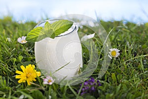 Yogurt with mint leaf on the grass