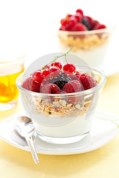 Yogurt ,muesli ,berries and honey