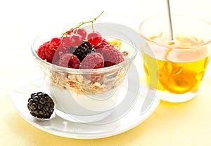 Yogurt ,muesli ,berries and honey