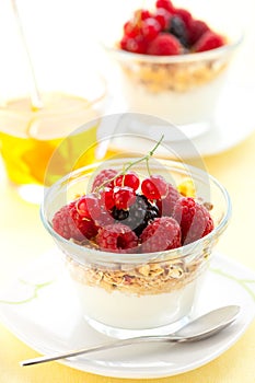 Yogurt ,muesli ,berries and honey