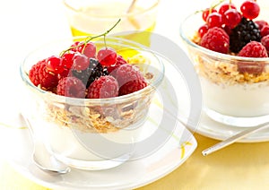 Yogurt ,muesli ,berries and honey