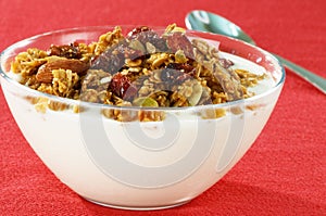 Yogurt Topped With Organic Granola