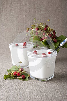 Yogurt with wild strawberries