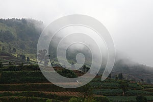 Yogyakarta village viewed on the mountain with cloudy sky