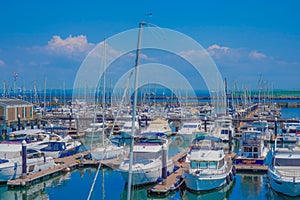 Yokohama Bayside Marina