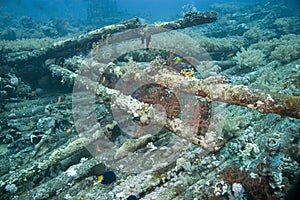 Yolanda wreckage