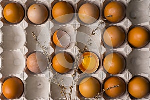 Yolk of broken egg in eggshell and several eggs in carton egg bo